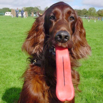 rubber tongue dog toy