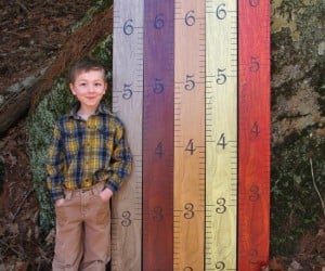 Giant Measuring Stick Growth Chart