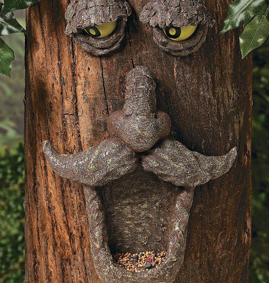 tree face bird feeder