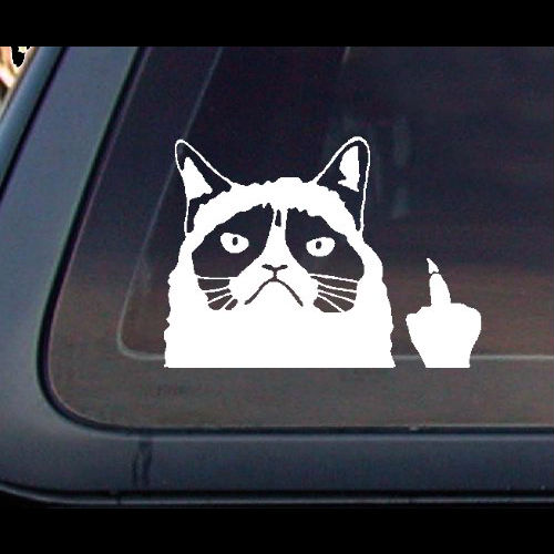Grumpy Cat middle finger decal