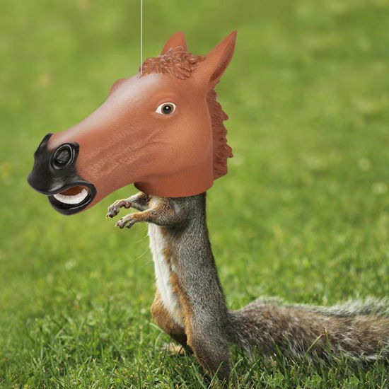 horse head squirrel feeder
