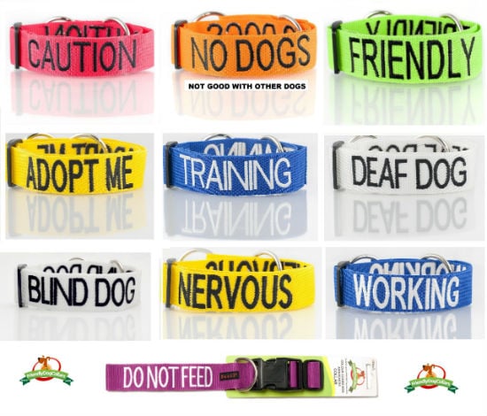 color coded dog leash 