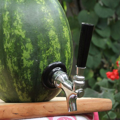 watermelon tap kit