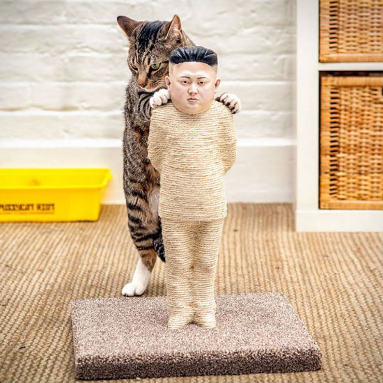 kim jung-un cat scratching post