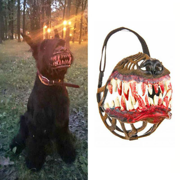 werewolf-dog-muzzle-suatmm-2