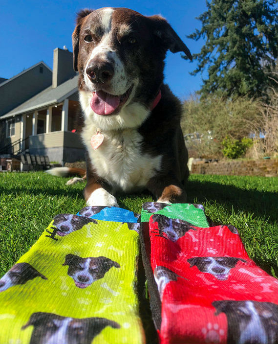 customized dog socks