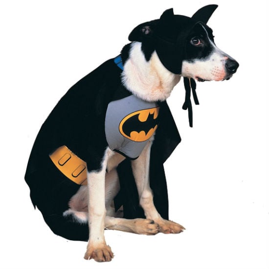 batman dog costume 