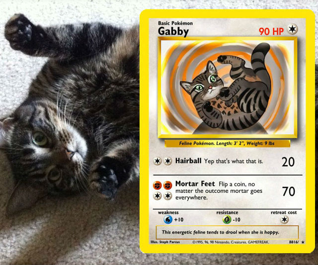 Your Pet As A Pokemon Card 