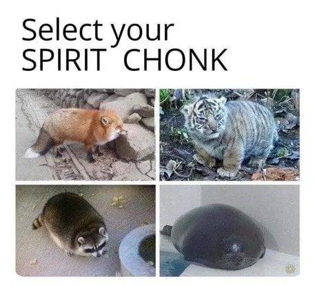 select your spirit chonk meme