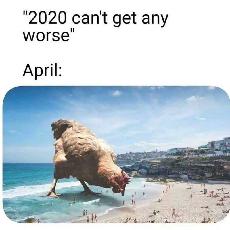 2020 cant get any worse april meme