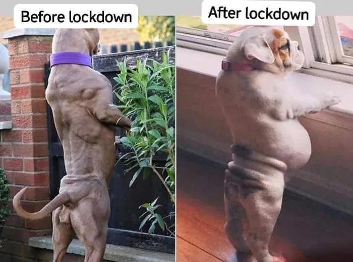 before vs after lockdown 