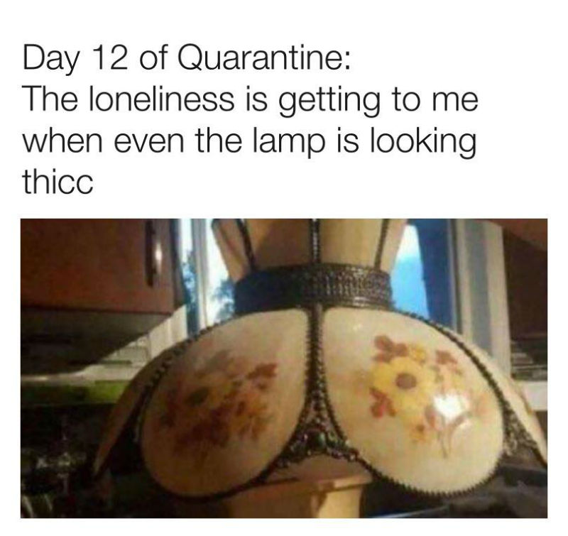day 12 of quarantine the lamp is looking thicc meme
