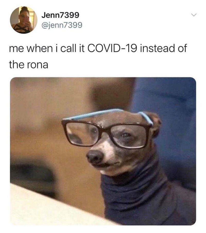 me when i call it covid 19 instead of the rona dog meme