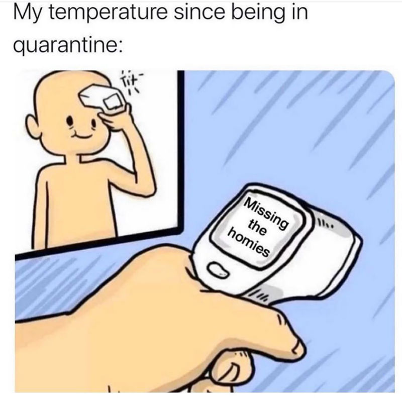 my temperature since being in quarantine missing the homies meme