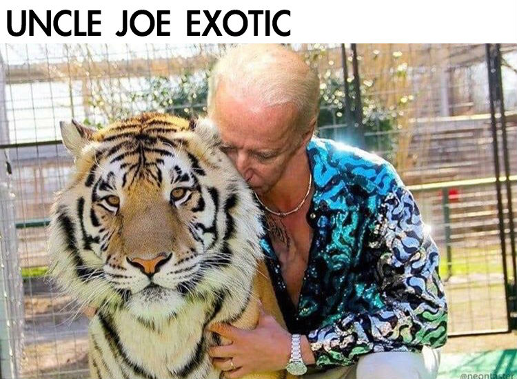 Uncle Joe Exotic Joe Biden Meme Shut Up And Take My Money