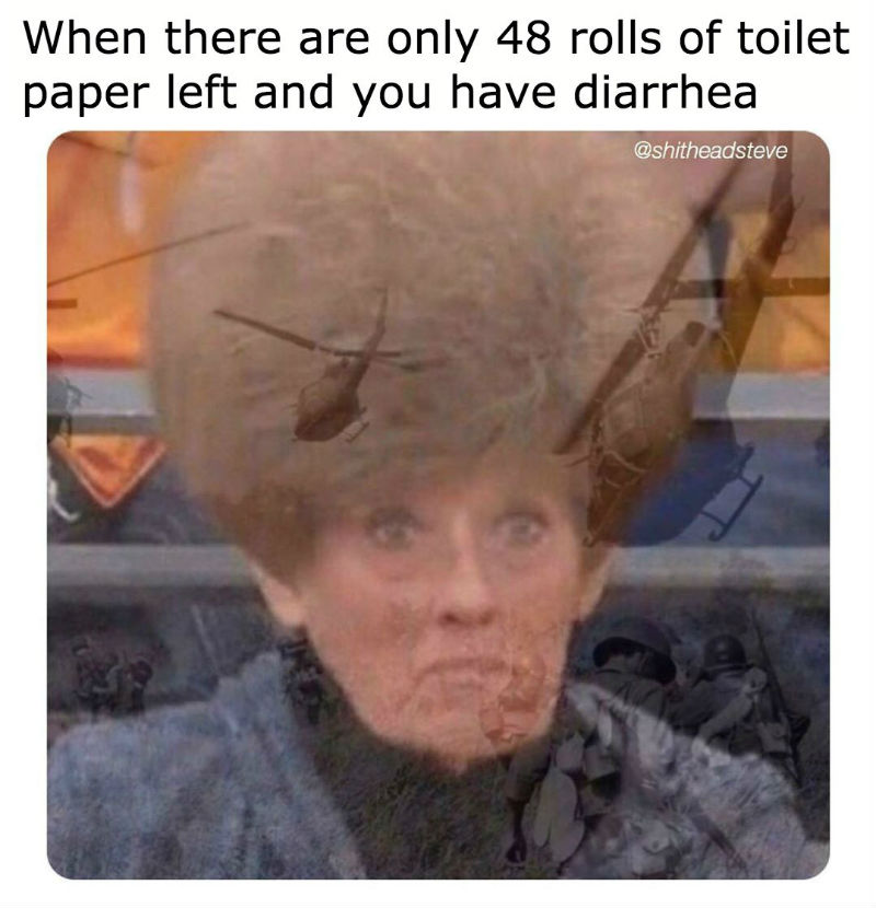 when there are only 48 rolls of toilet paper left meme