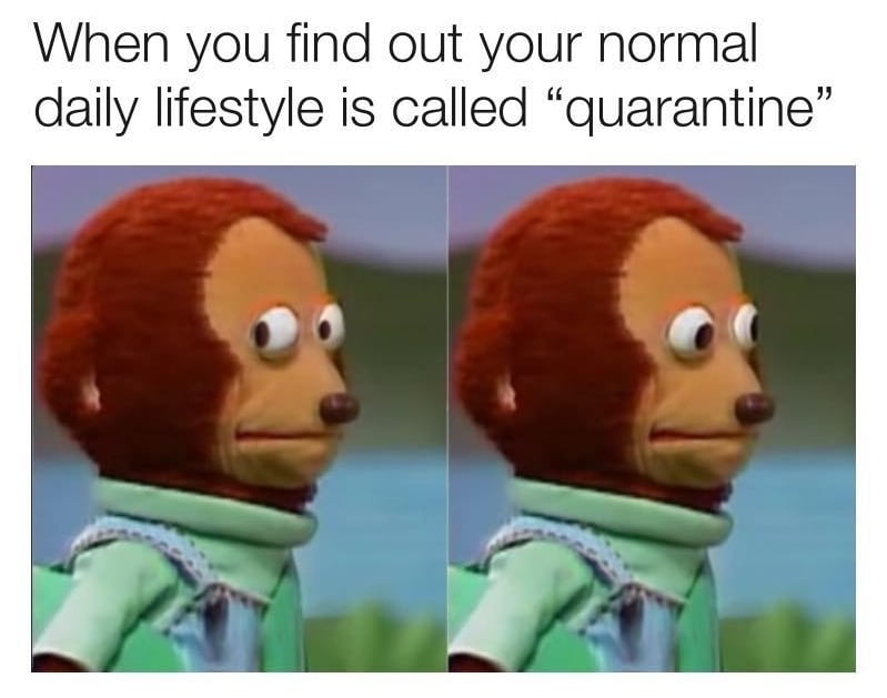 when you find out your normal daily life is called quarantine 