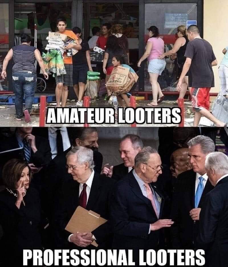 amateur vs professional looters 