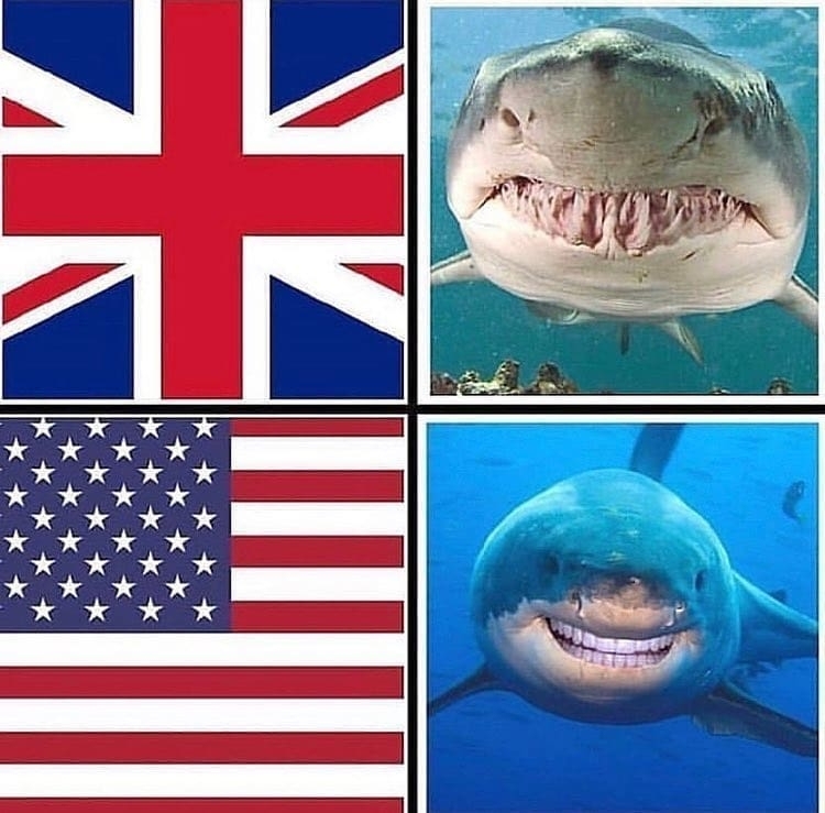 british vs american sharks meme