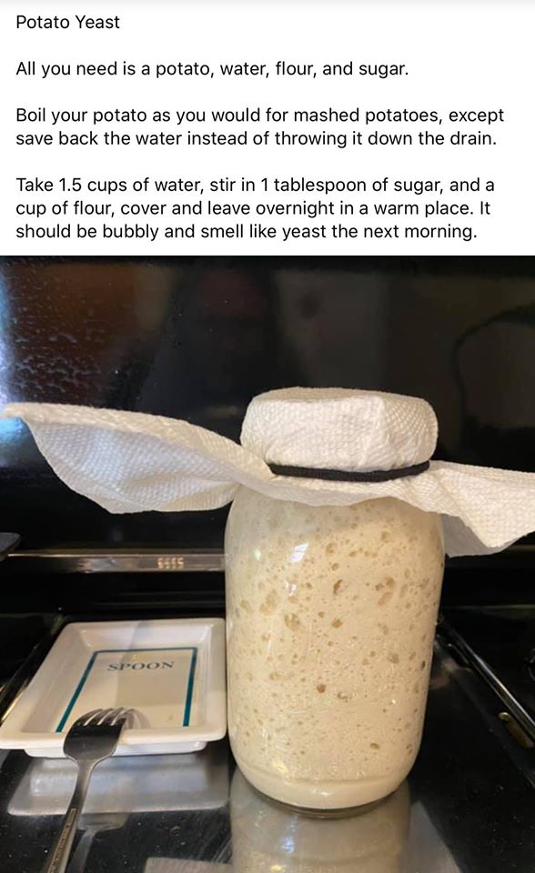 how to make your own yeast 