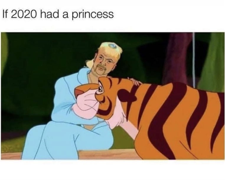 if 2020 had a princess tiger king meme 