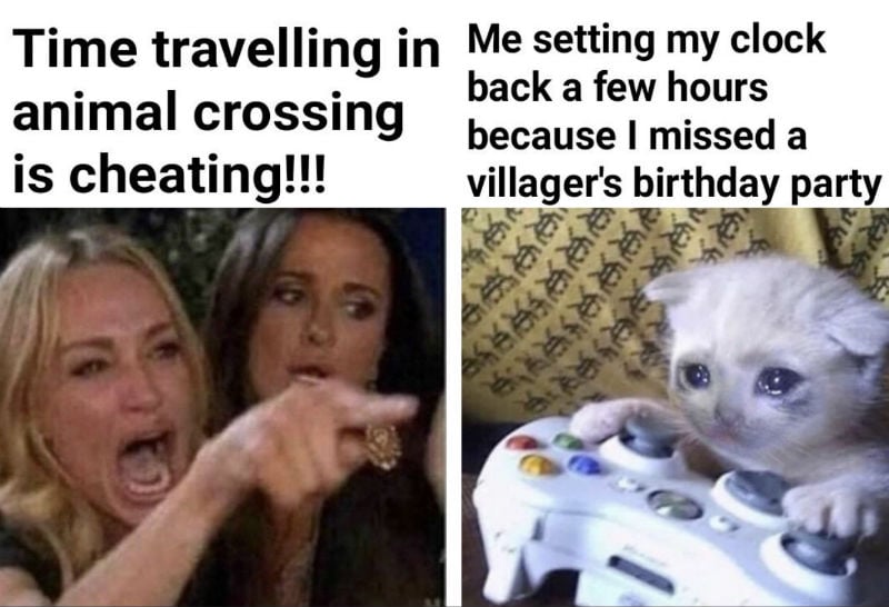 time traveling in animal crossing is cheating meme