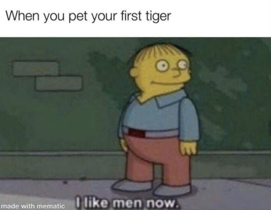 when you pet your first tiger 