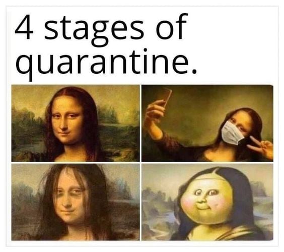 The 4 Stages Of Quarantine - Mona Lisa Meme - Shut Up And Take My Money