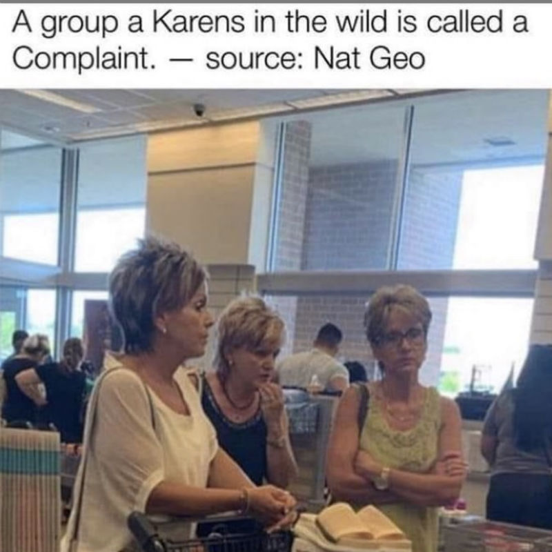 a group of karens is called a complaint meme 