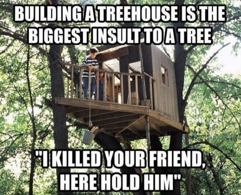 building a treehouse 