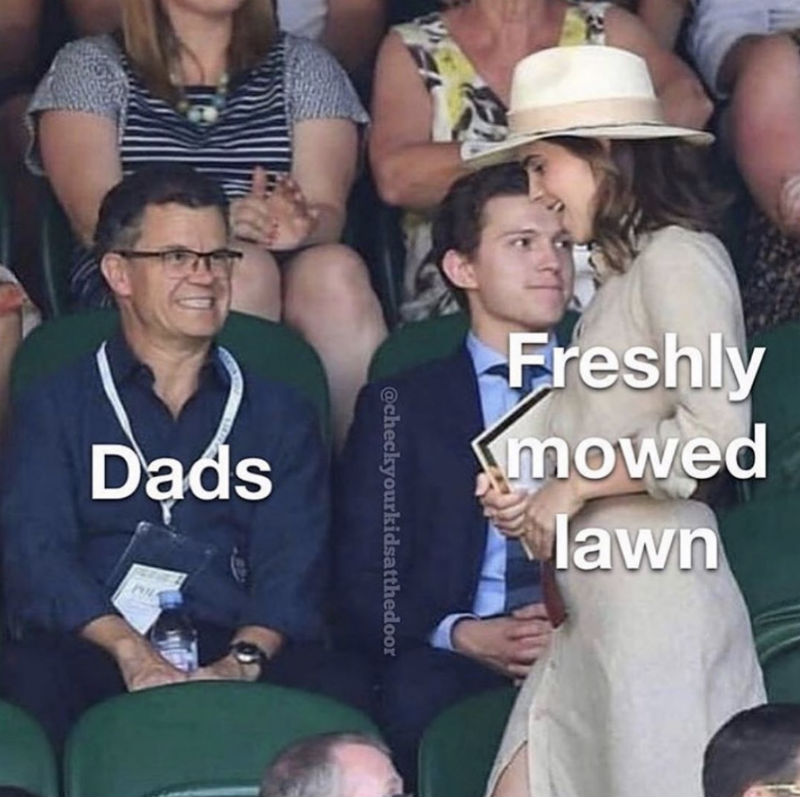 dads freshly mowed lawns meme