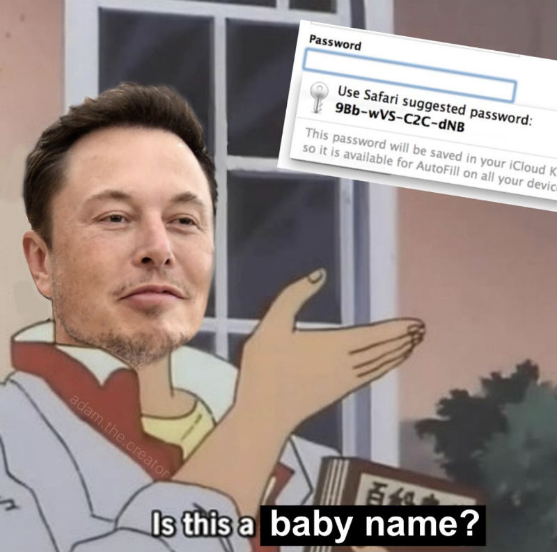 elon musk is this a baby name meme