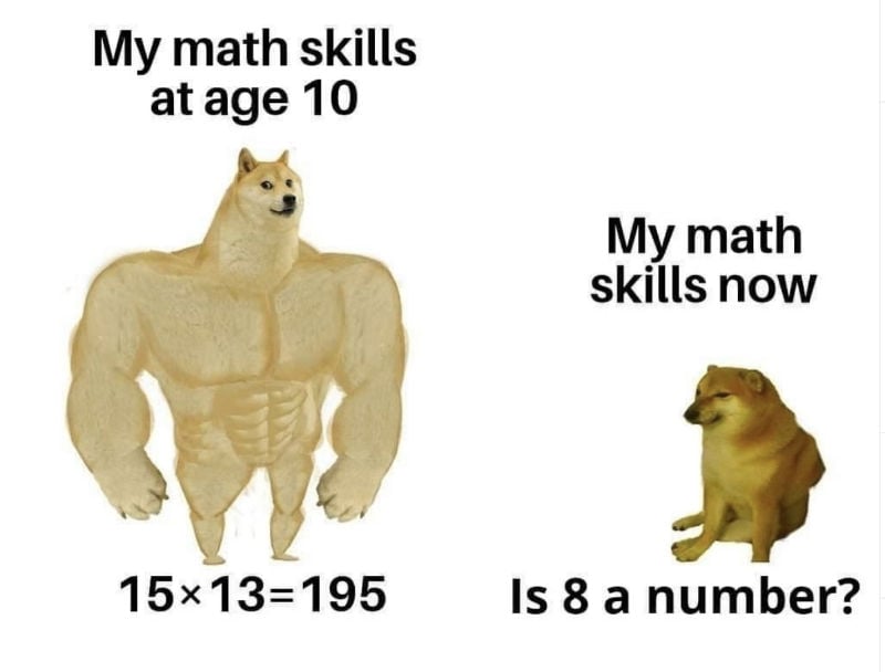 my math skills at age 10 vs my math skills now meme 