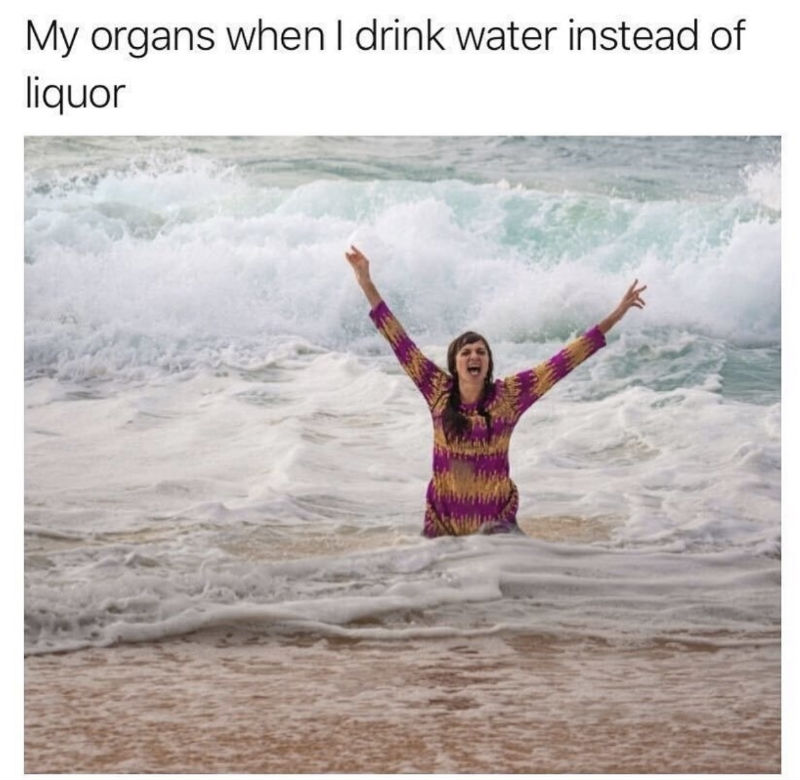 my organs when i drink water instead of liquor meme