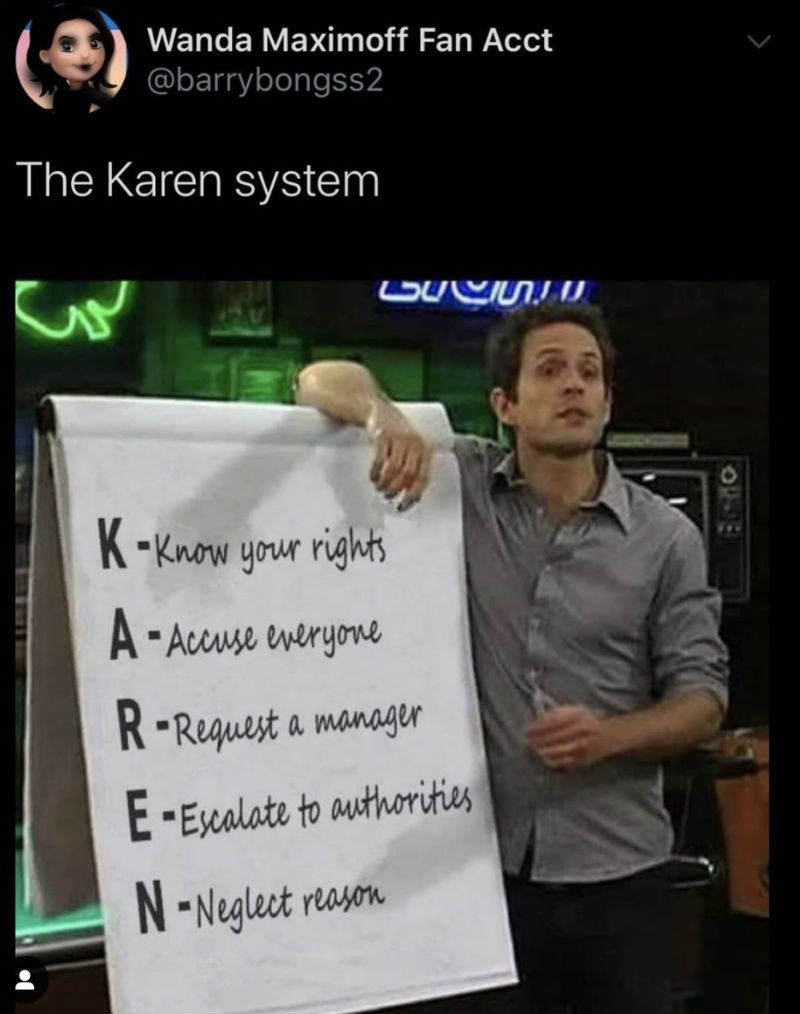 the karen system meme 