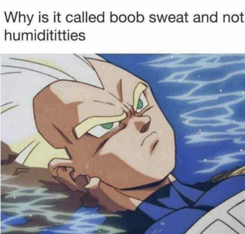 why is it called boob sweat instead of humiditties 