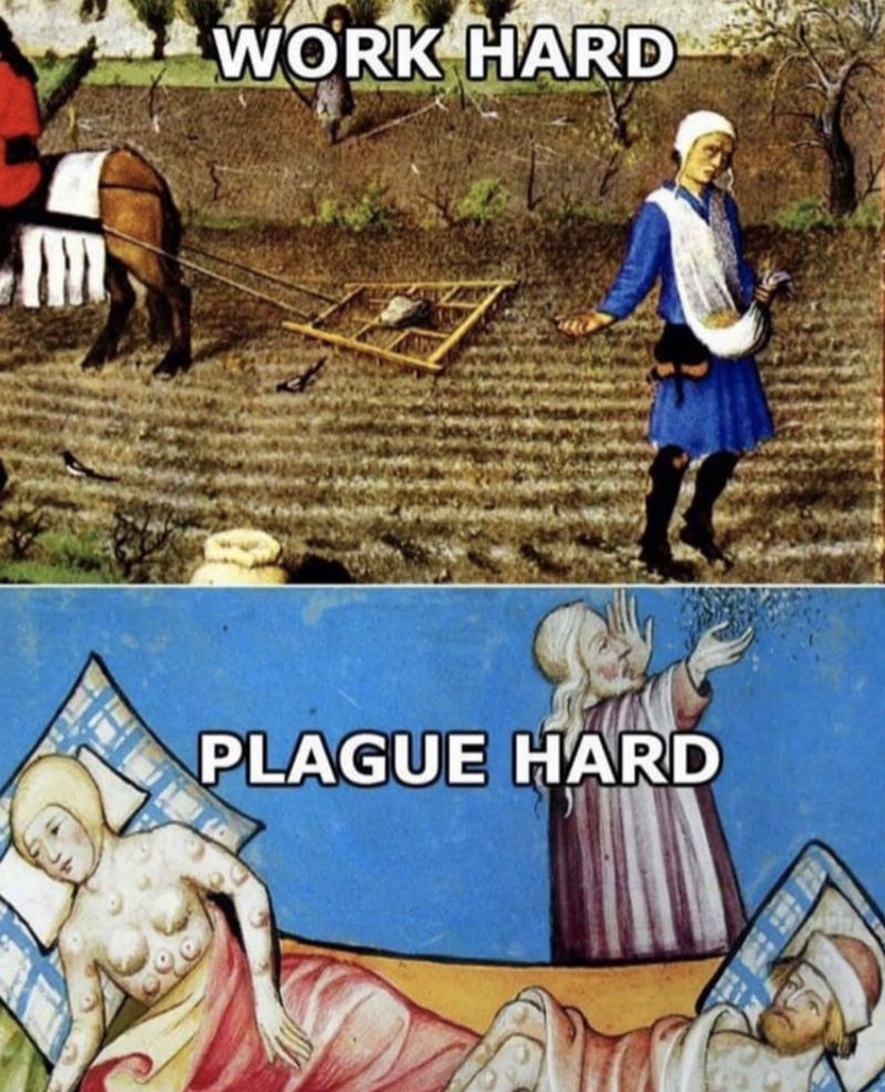 work hard plague hard meme