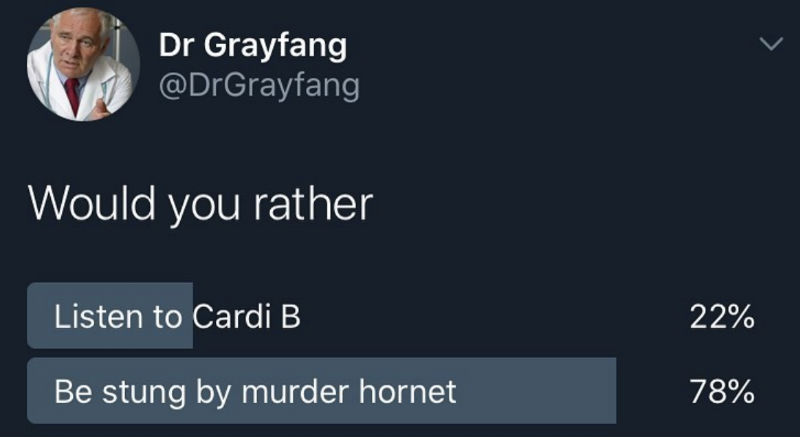 would you rather listen to cardi b or murder hornet 