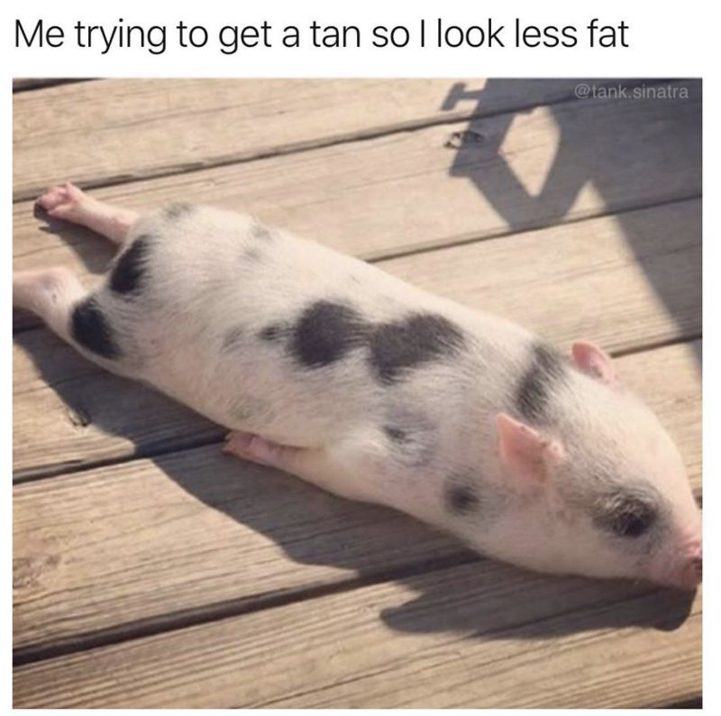 Me Trying To Get A Tan So I Look Less Fat - Meme - Shut Up ...