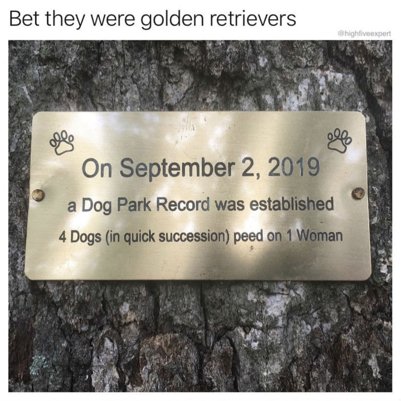 a dog park record 