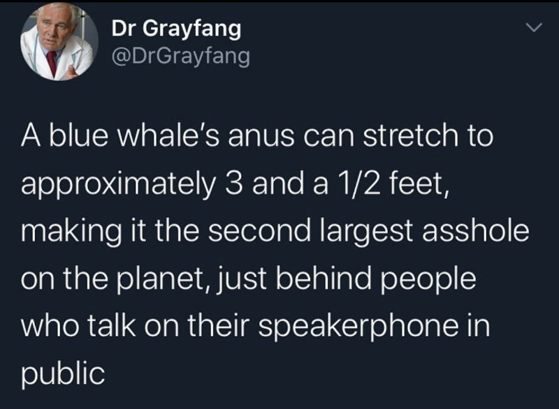 a blue what anus can stretch 