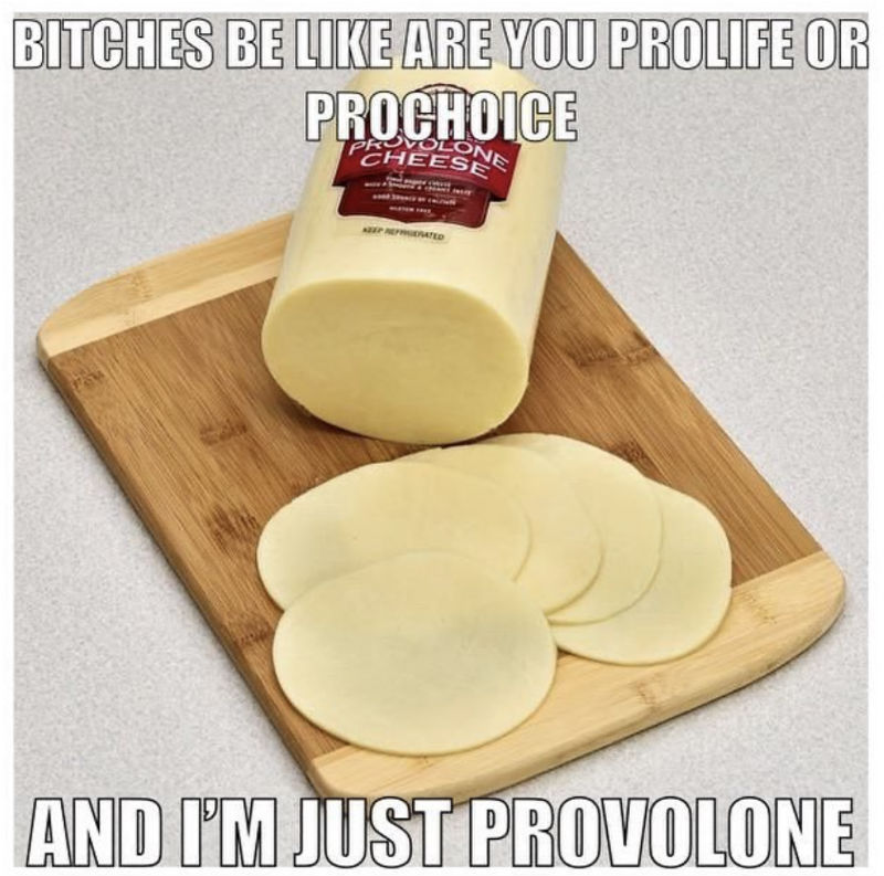 bitches be like are you profile or provolone 