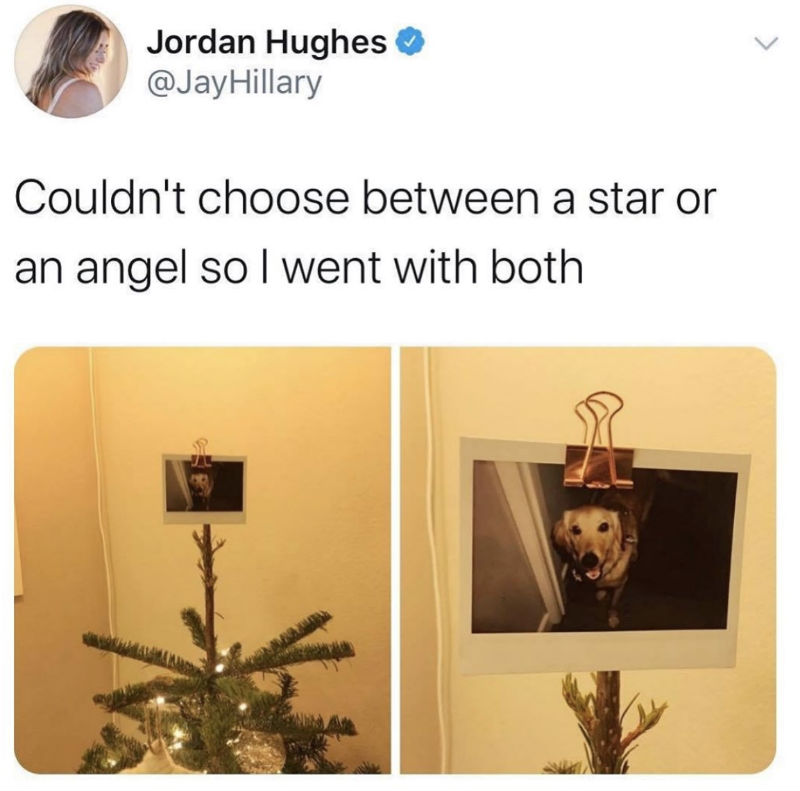 couldnt choose between 