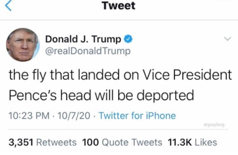 the fly that landed on pences head will be deported meme