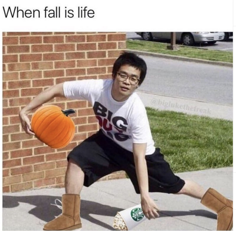 when fall is life meme