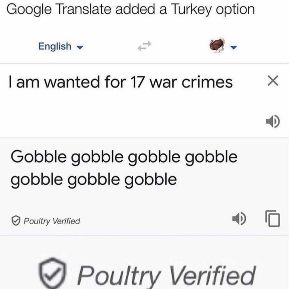 google translate turkey 