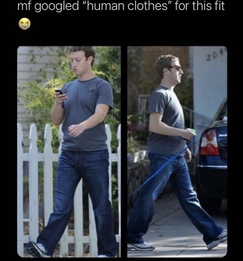 mark zuckerberg wearing human clothes 