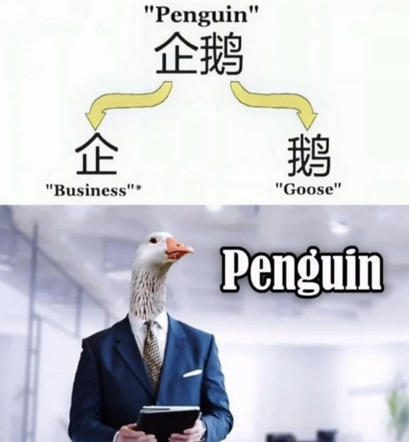 penguin business goose 