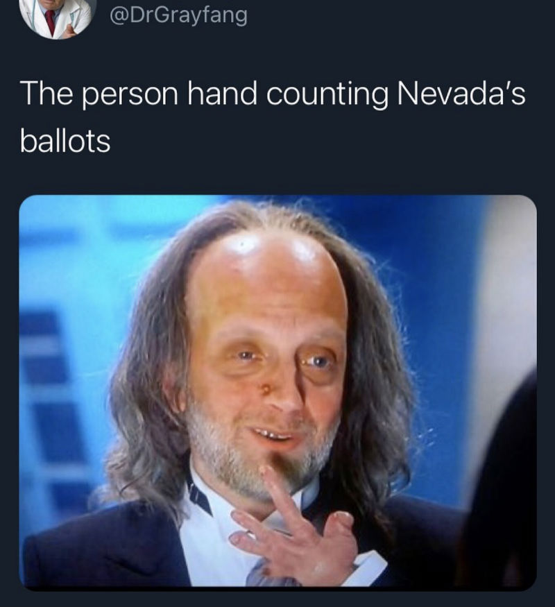 the person hand counting the nevada ballots 