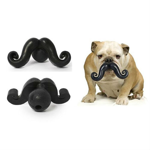 dog mustache chew toy